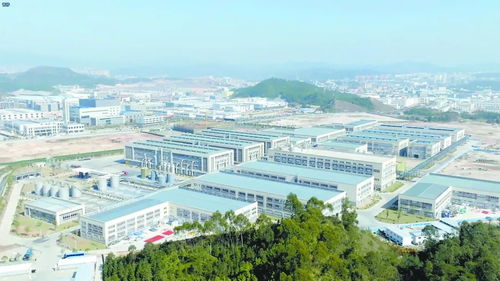 江西锂业与昂东科技 从资源高地到创新驱动