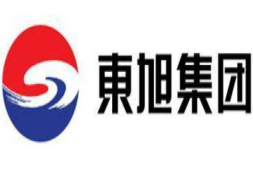 东旭光电科技股份
